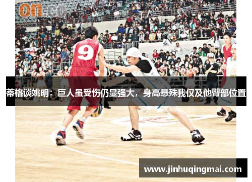 蒂格谈姚明：巨人虽受伤仍显强大，身高悬殊我仅及他臀部位置